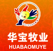 枣庄华宝